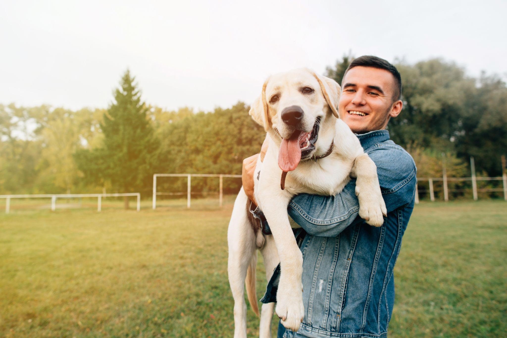 Pet care