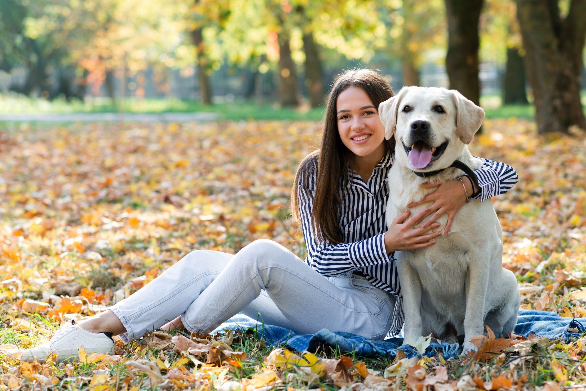 pet care clinic