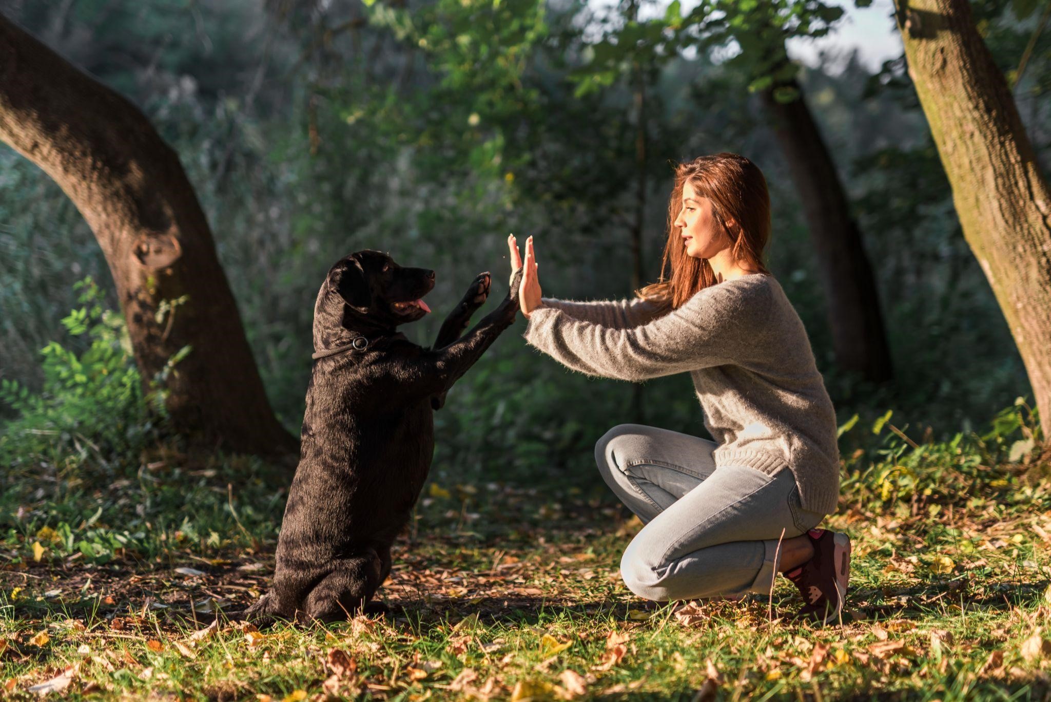 Safe and gentle approach