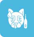 best vet in dubai