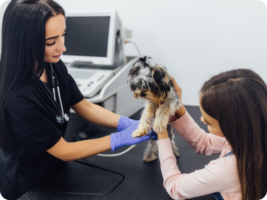 pet health checkup