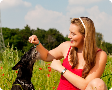 pet health checkup