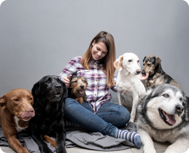 veterinary clinics in dubai