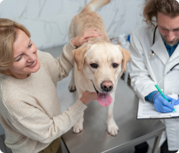 pet health checkup dubai