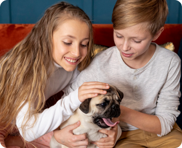 animal clinic dubai