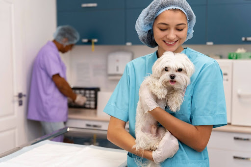 veterinary clinic dubai