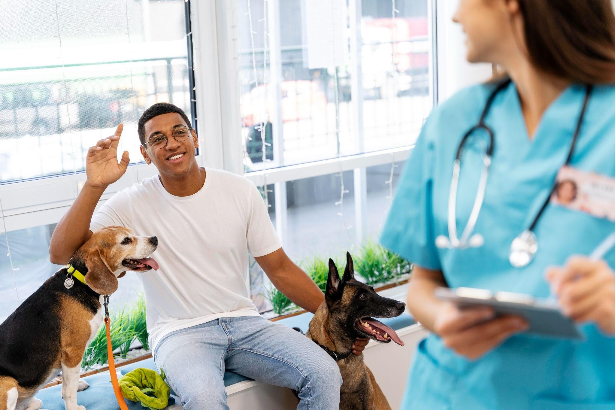 experienced vet dubai