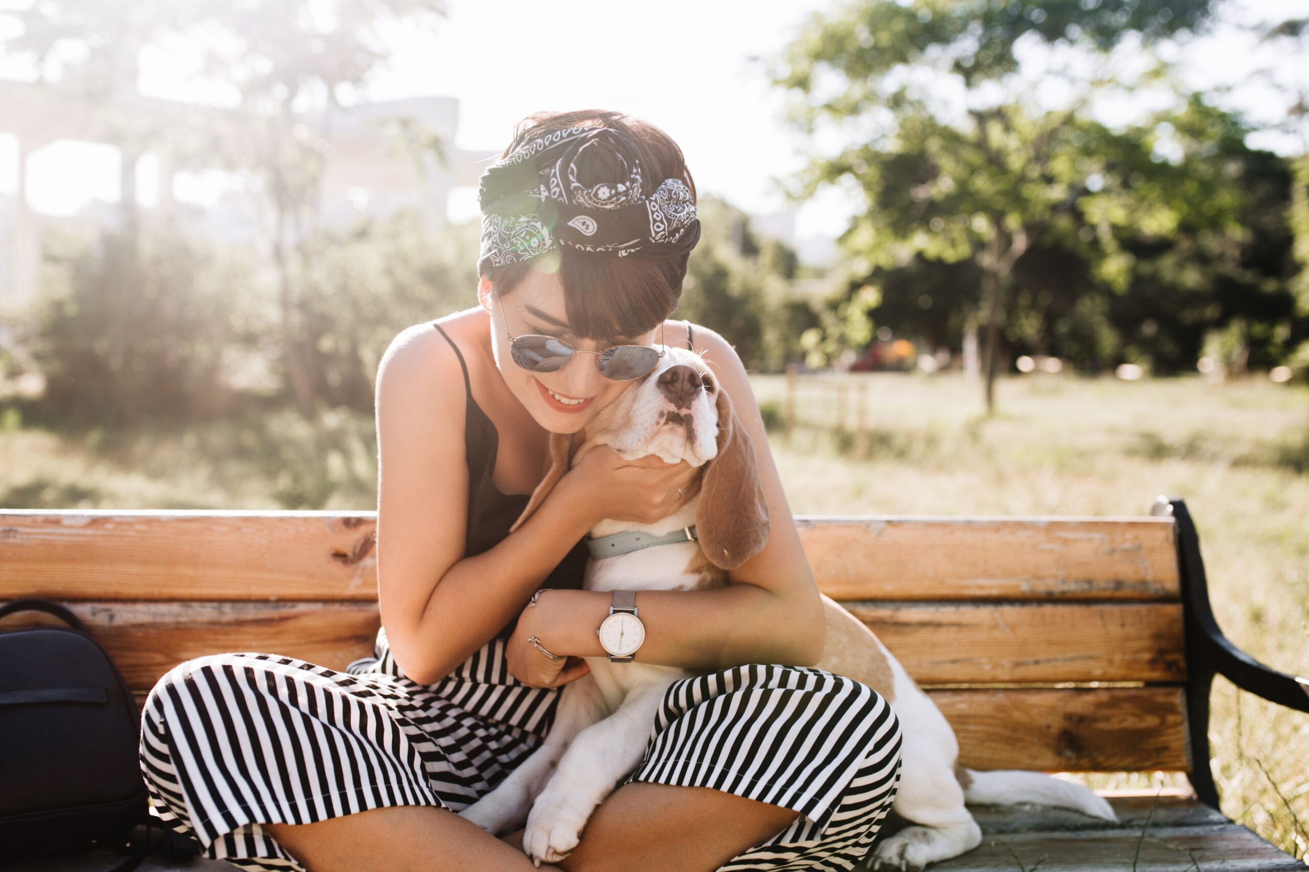 pet care