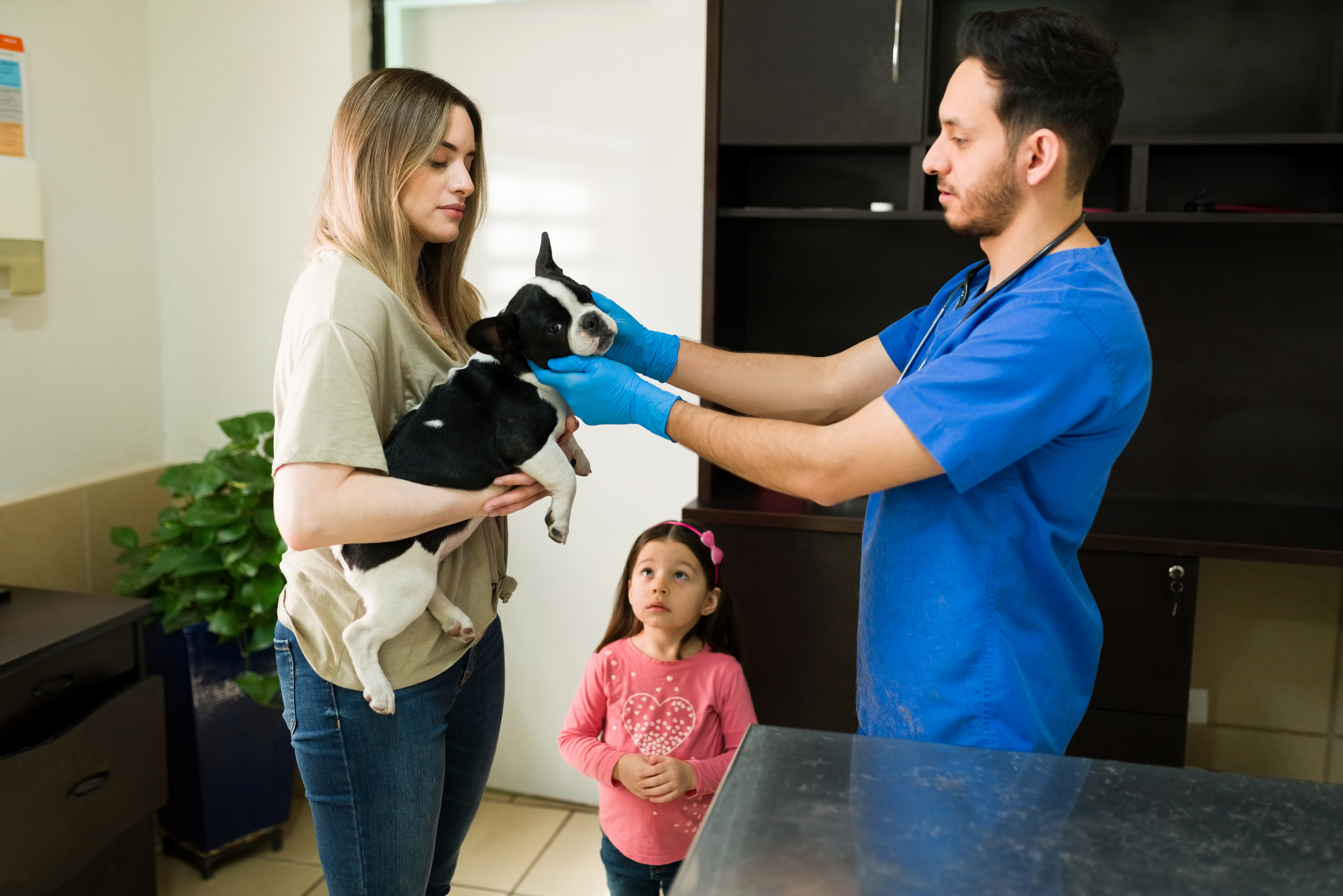 Pet Care