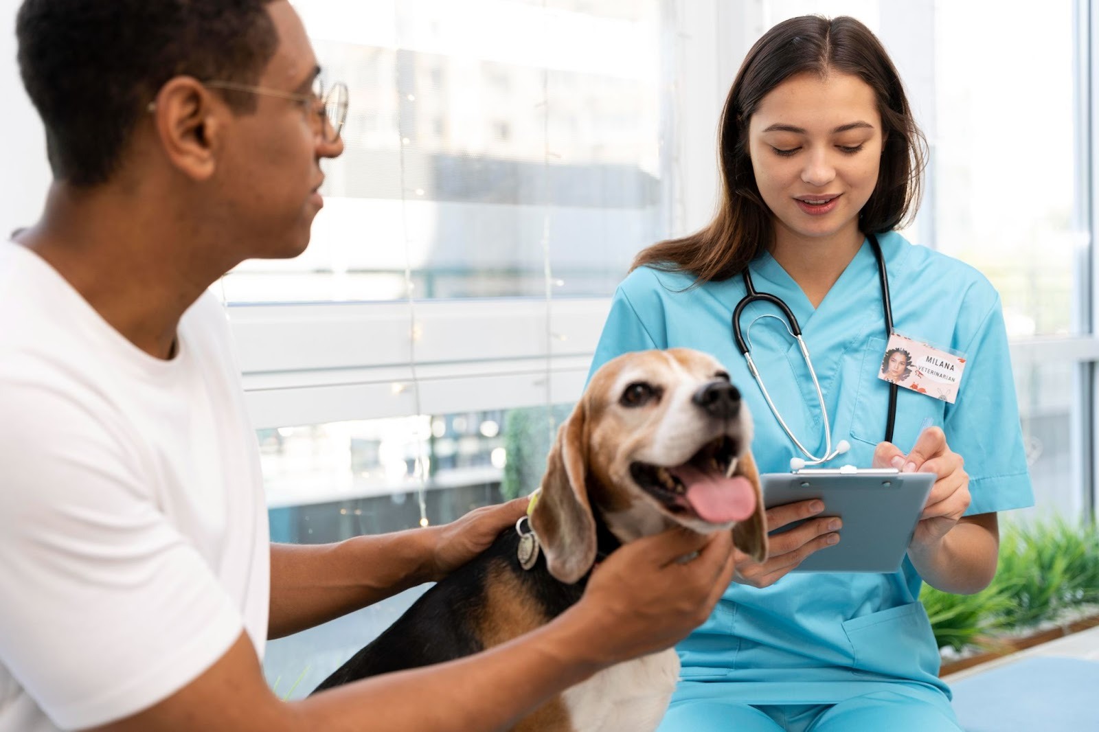 Pet Care