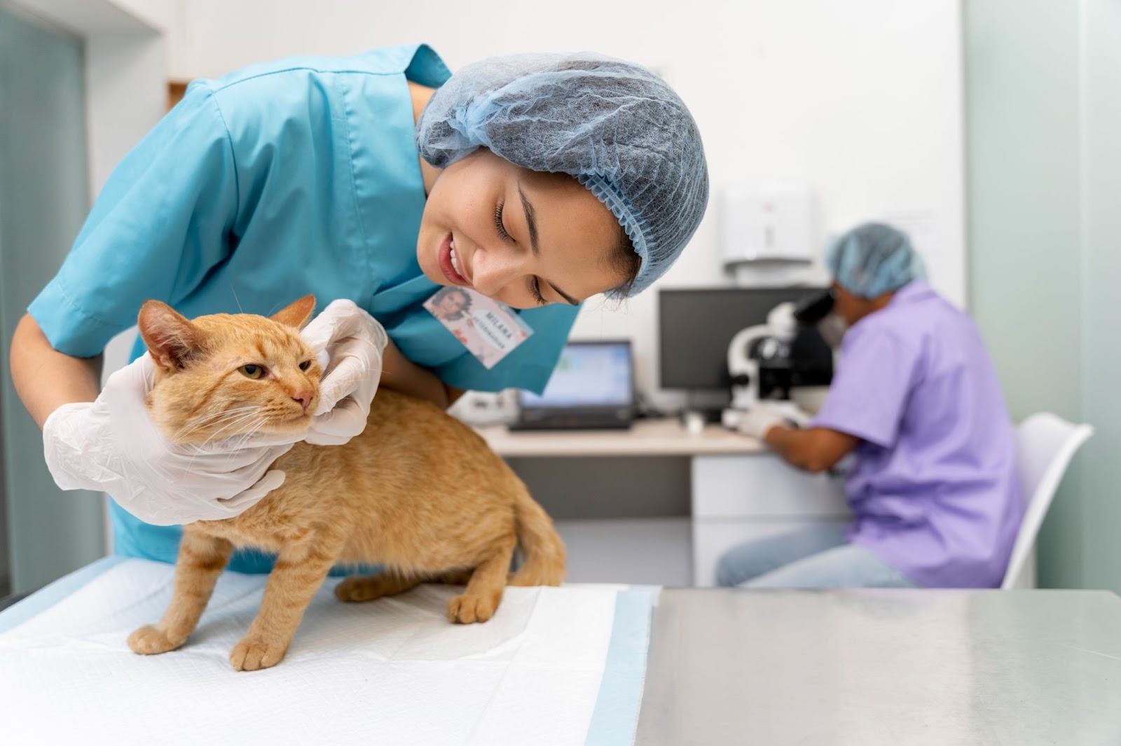 Pet clinic