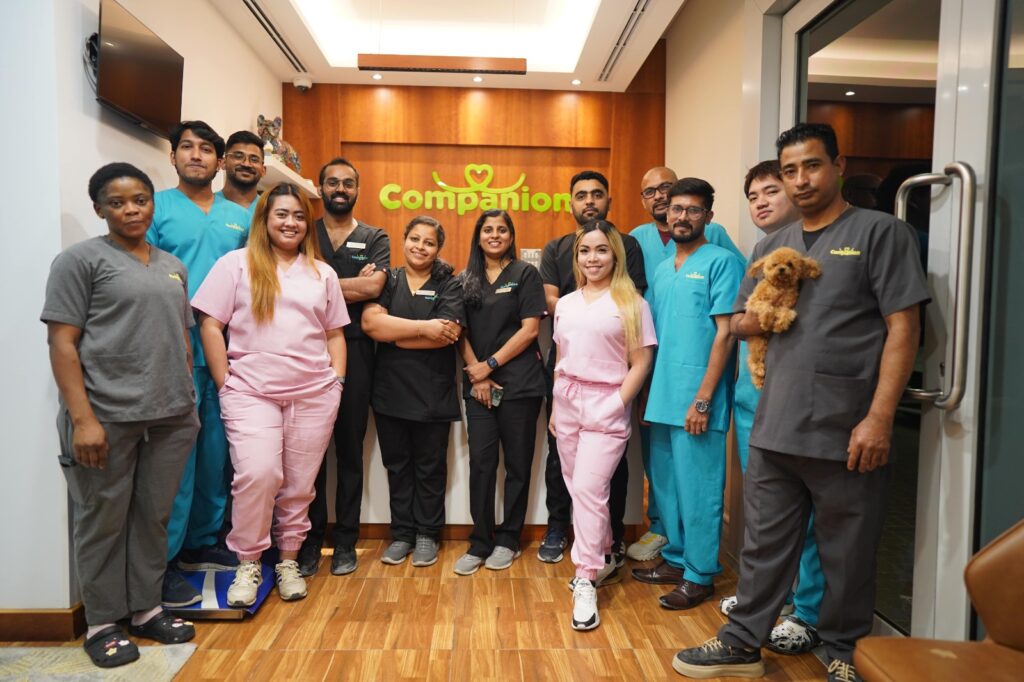 Companion Veterinary Clinic Dubai