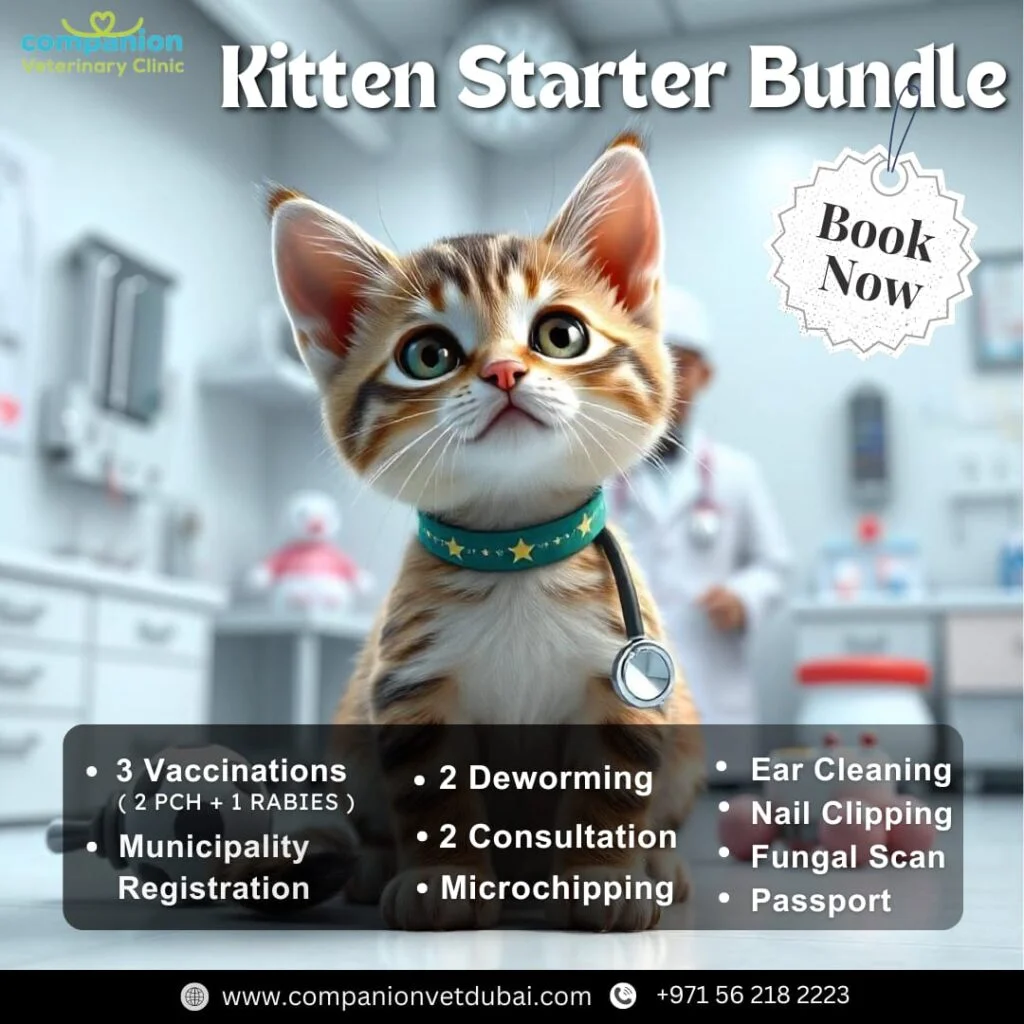 Companion Veterinary Clinic Dubai