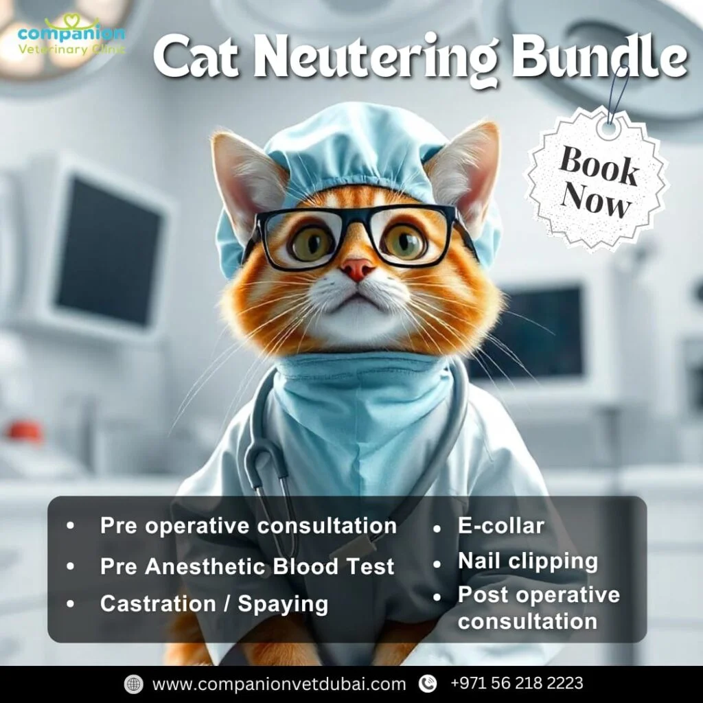 Companion Veterinary Clinic Dubai