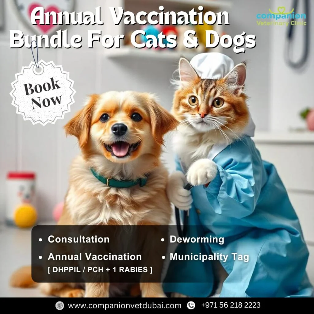 Companion Veterinary Clinic Dubai
