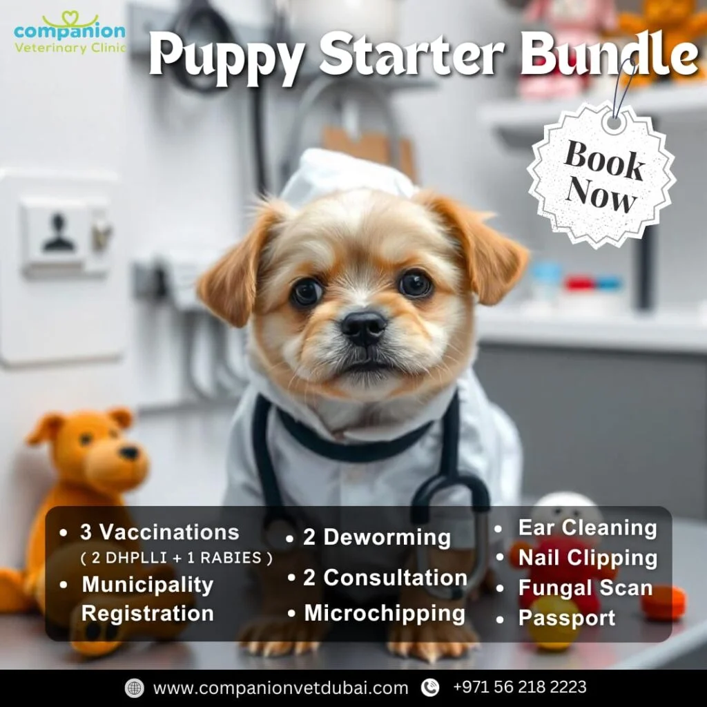 Companion Veterinary Clinic Dubai