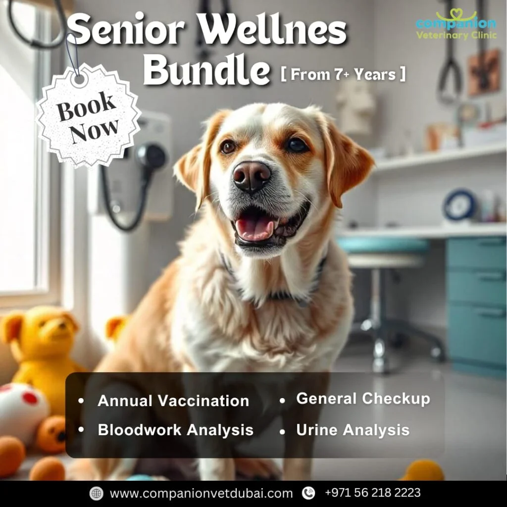 Companion Veterinary Clinic Dubai