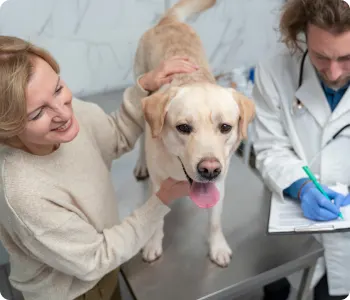Companion Veterinary Clinic Dubai