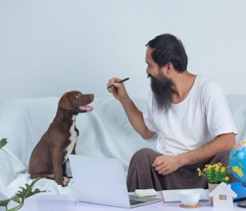adult dog